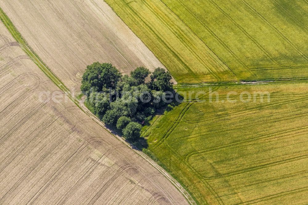 Aerial image Datteln - Landscape of a group of trees in a heart shape with fields and trails at dates in North Rhine-Westphalia