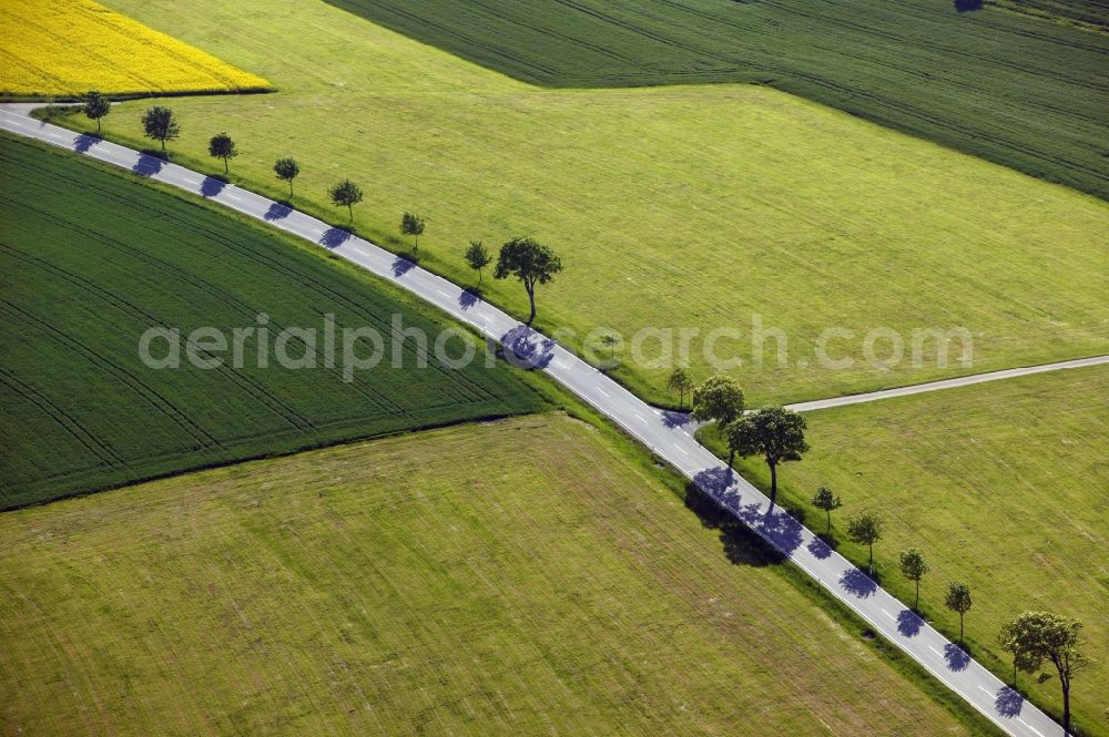 Überlingen from above - Landscape shot with trees on country road between fields near Ueberlingen in Baden-Wuerttemberg