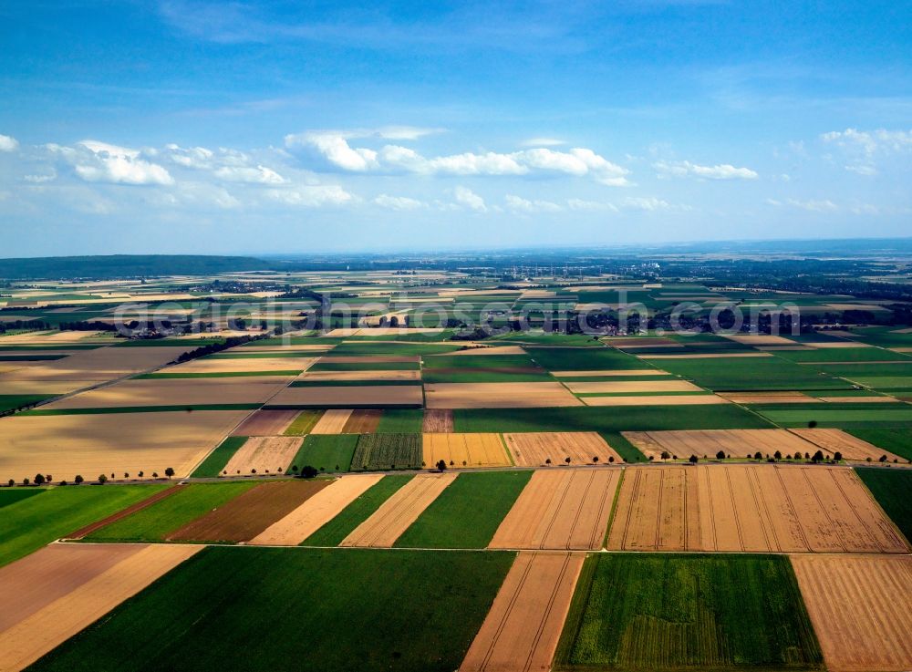 Linnich from above - Landscape near the Hottorf parf of Linnich in the state of North Rhine-Westphalia. The agriculturally used region stretches out between some hills that are also used for mining