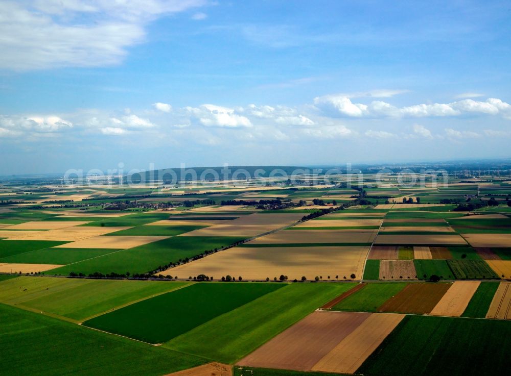 Linnich from the bird's eye view: Landscape near the Hottorf parf of Linnich in the state of North Rhine-Westphalia. The agriculturally used region stretches out between some hills that are also used for mining