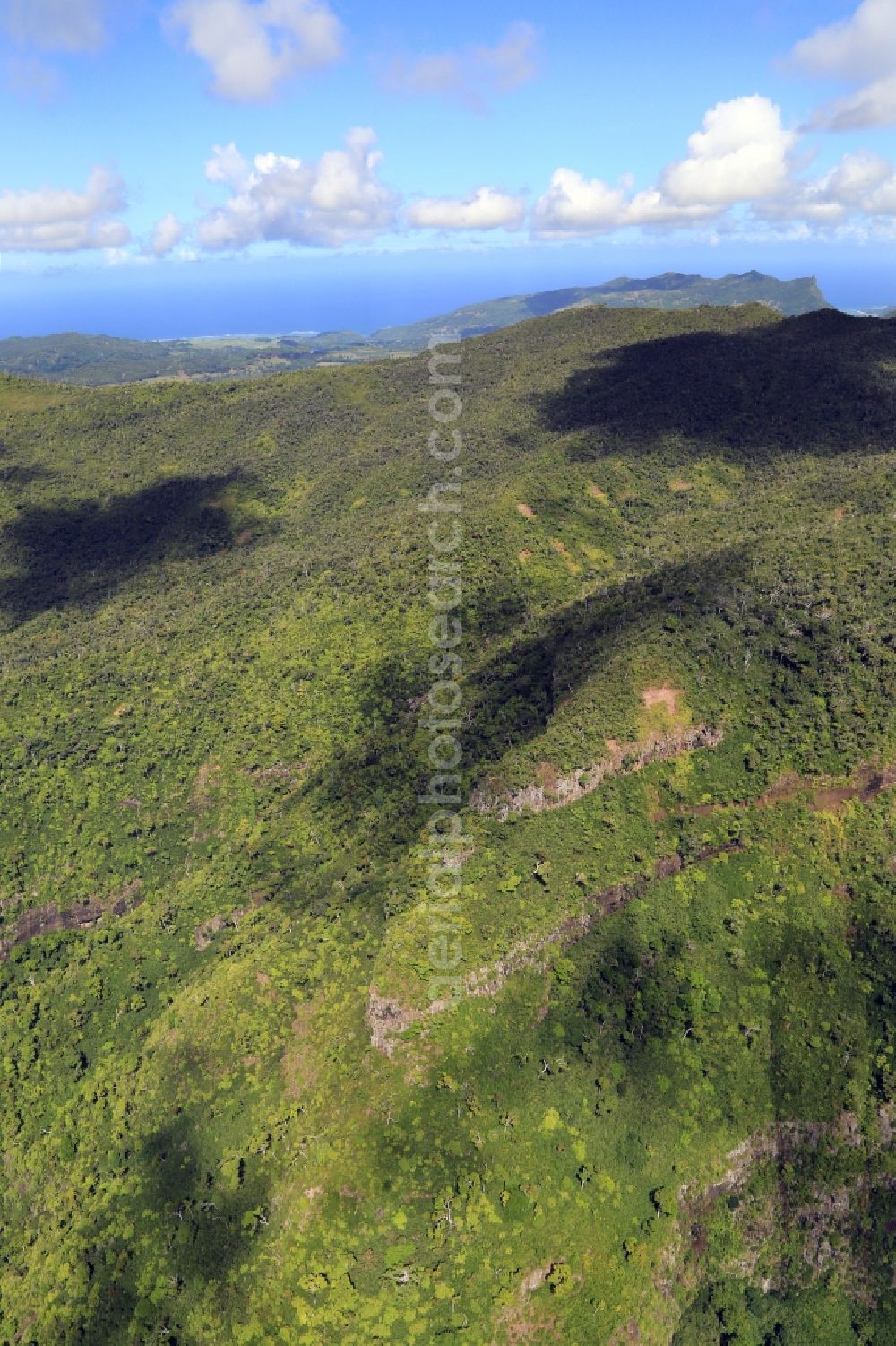 Aerial image Black River Gorges National Park - Mountains in the landscape of the Black River Gorges National Park in the south of the island Mauritius