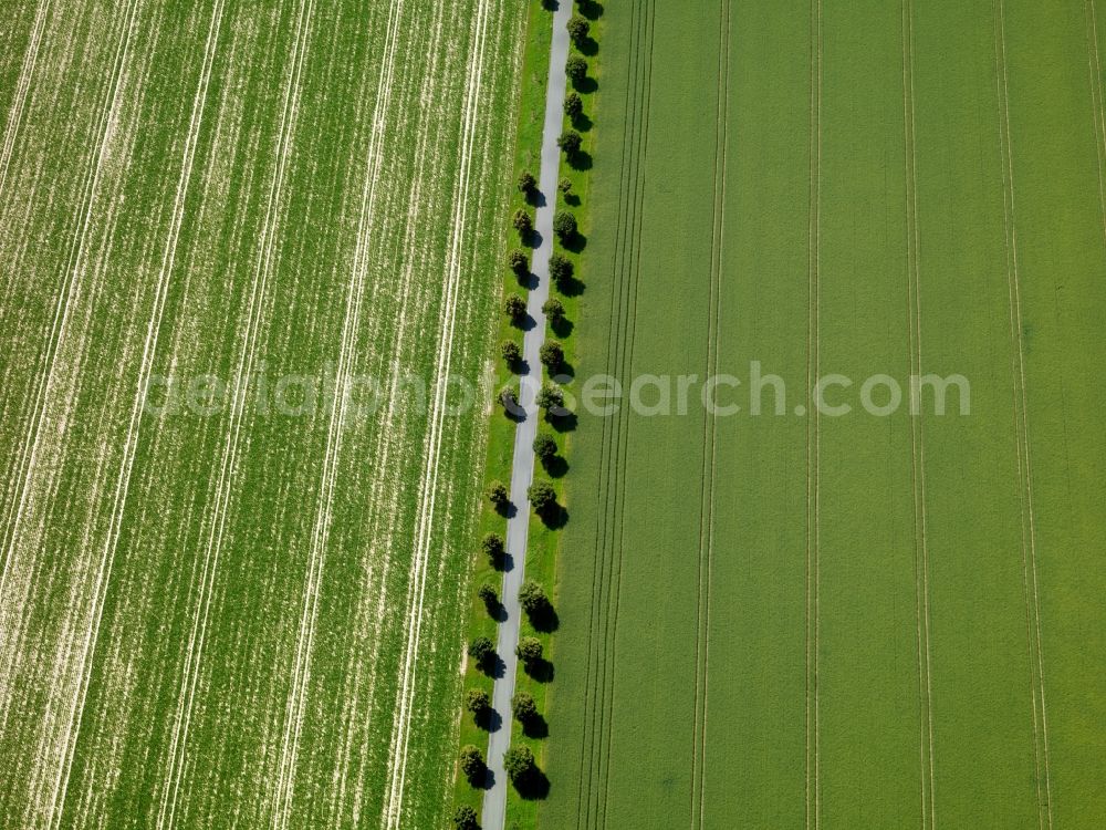 Pfrondorf from above - Landscape with field - structures on summer, harvested fields in the state of Baden-Württemberg Pfrondorf BW