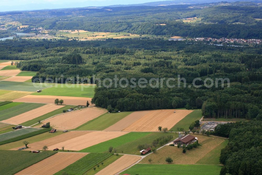 Aerial photograph Wallbach - Agricultural fields, meadows and forests in the landscape on the Upper Rhine in Wallbach in Switzerland