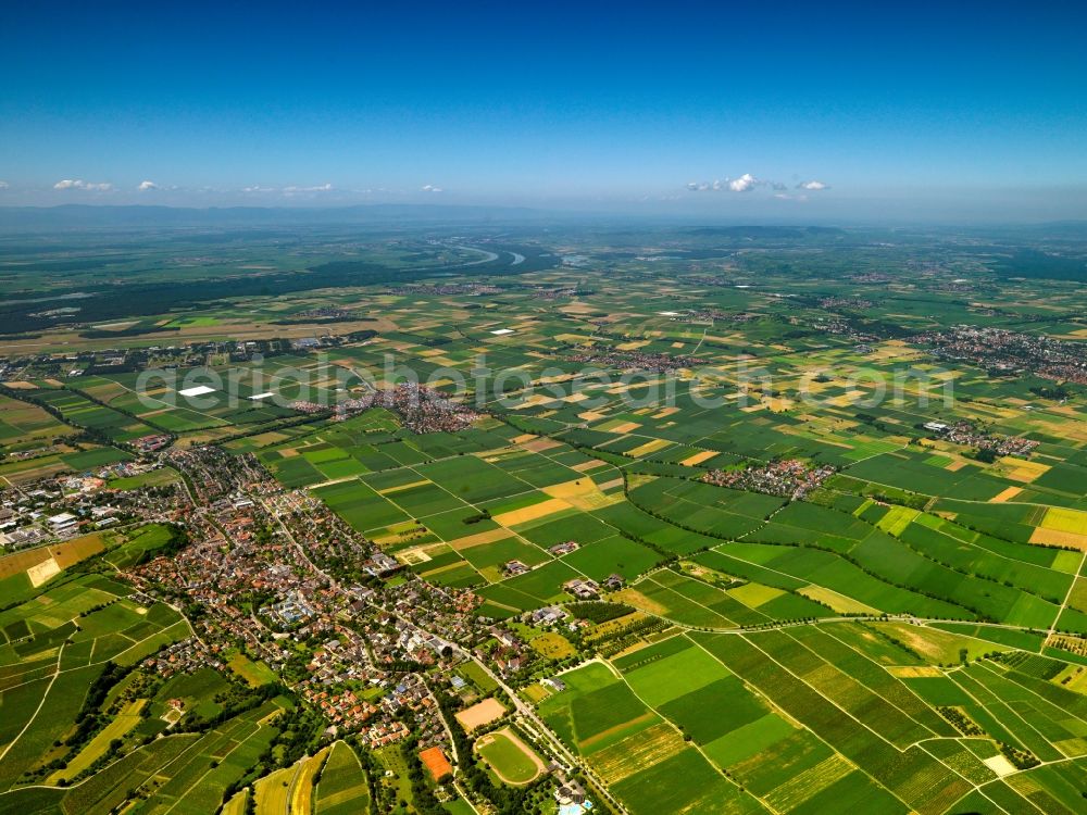 Heitersheim from the bird's eye view: Landscape of fields of agriculture near Heitersheim in the state of Baden-Württemberg