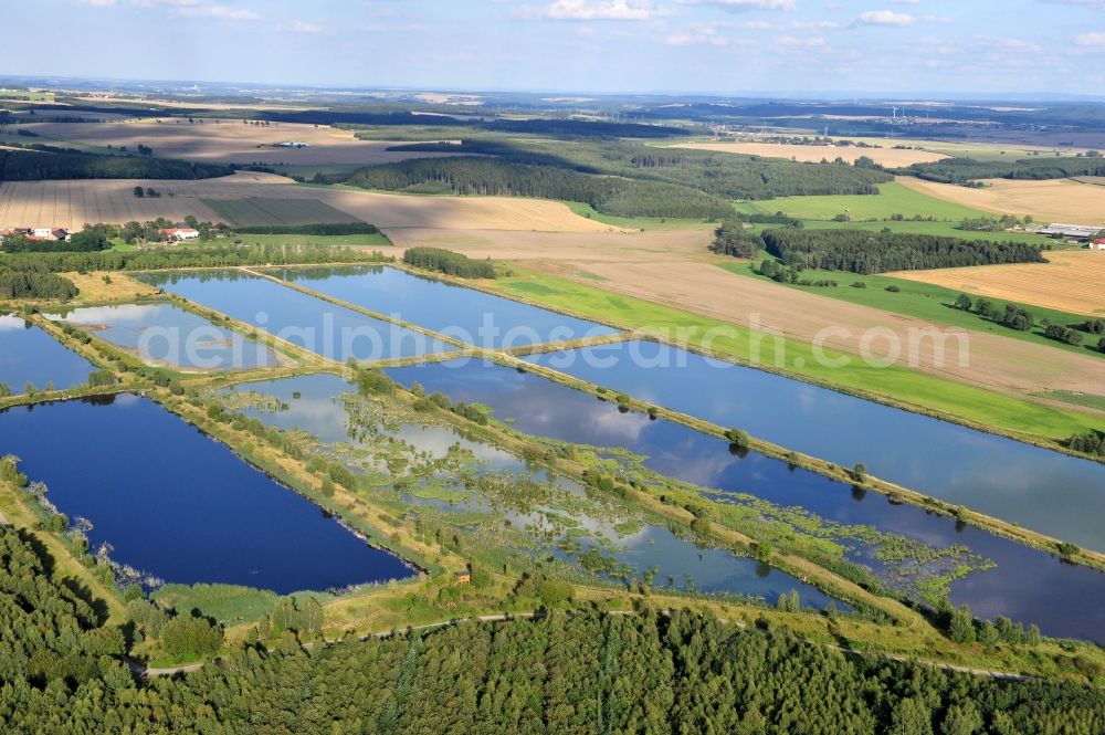 Finkenmühle from the bird's eye view: Fish ponds at Finkenmuehle in the state Thuringia