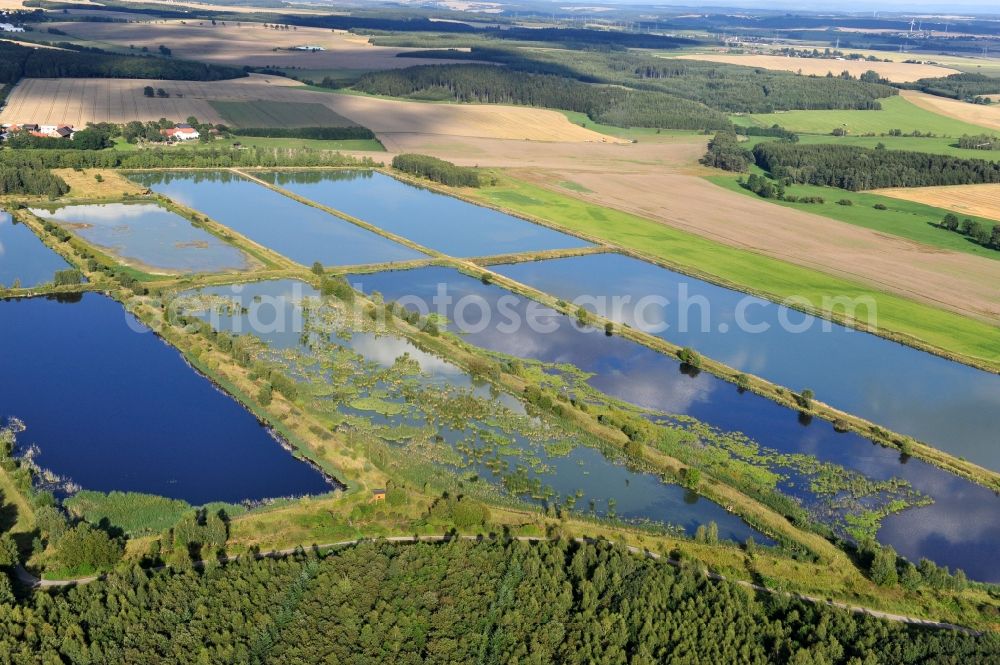 Aerial image Finkenmühle - Fish ponds at Finkenmuehle in the state Thuringia