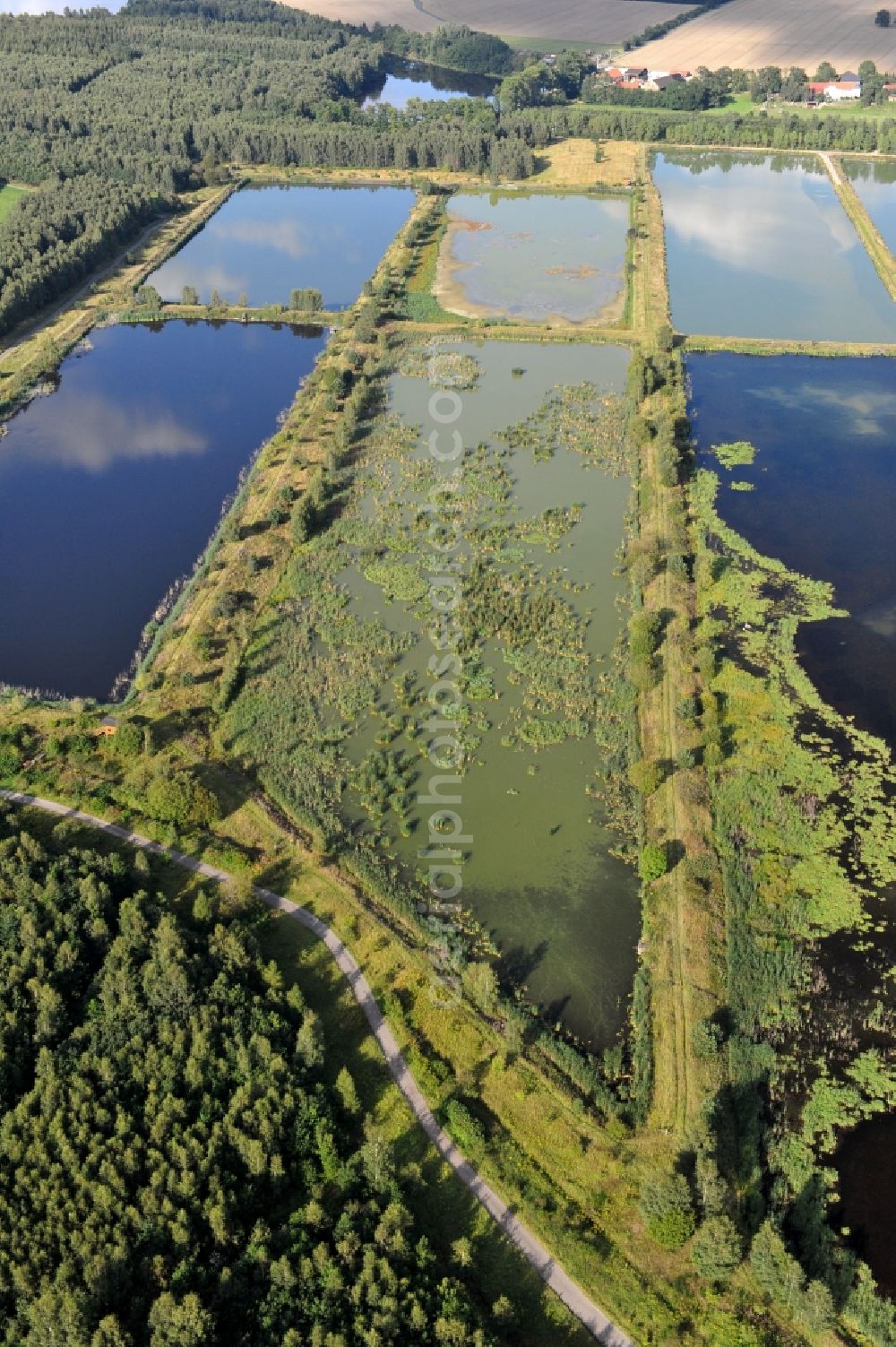 Aerial photograph Finkenmühle - Fish ponds at Finkenmuehle in the state Thuringia