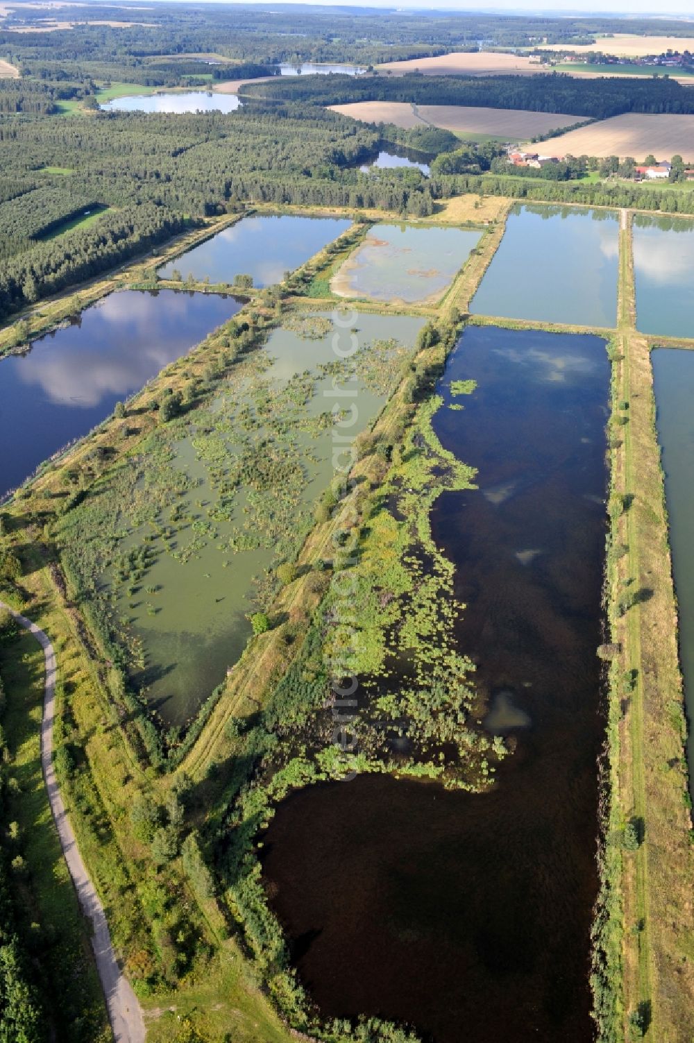 Finkenmühle from above - Fish ponds at Finkenmuehle in the state Thuringia