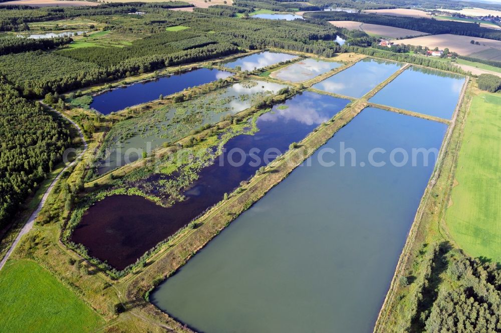 Finkenmühle from the bird's eye view: Fish ponds at Finkenmuehle in the state Thuringia