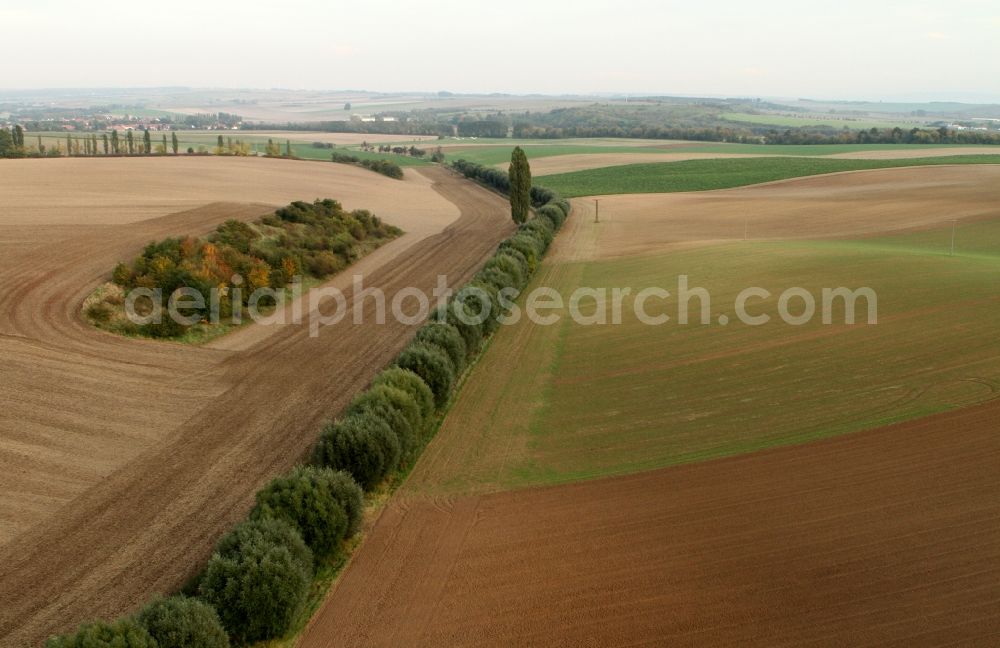 Mühlhausen from the bird's eye view: Landscape / fall landscape harvested fields on the outskirts of Mühlhausen in Thuringia