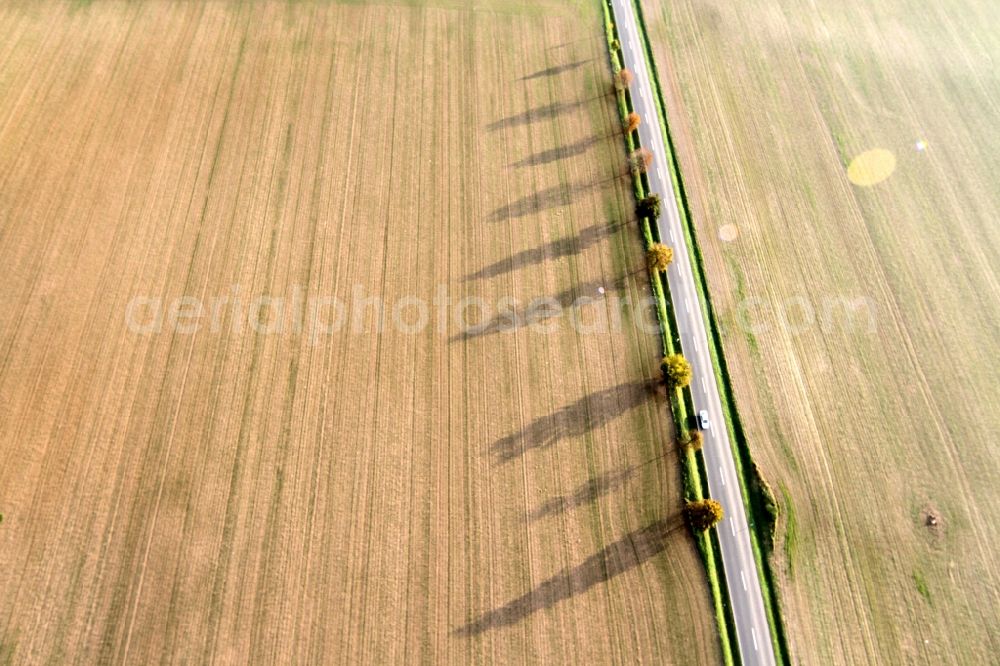 Mühlhausen from the bird's eye view: Landscape / fall landscape harvested fields on the outskirts of Mühlhausen in Thuringia