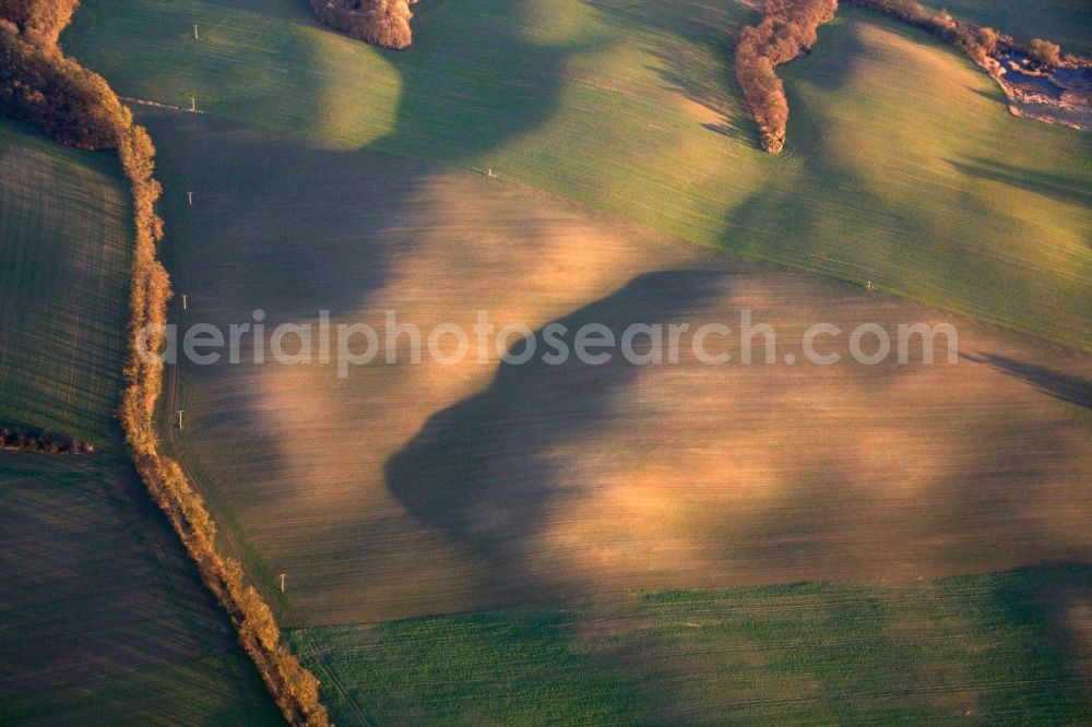 Altranft from above - Field - Landscape Altranft-Sonnenberg in Brandenburg