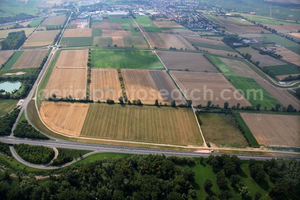 Nackenheim from the bird's eye view: View of the landscape of Nackenheim in the state of Rhineland-Palatinate. The borough and municipiality is located in the county district of Mainz-Bingen, on the left riverbank of the Rhine. The official tourist resort is an important wine-growing village in the Rhine Hesse region and surrounded by fields and vineyards