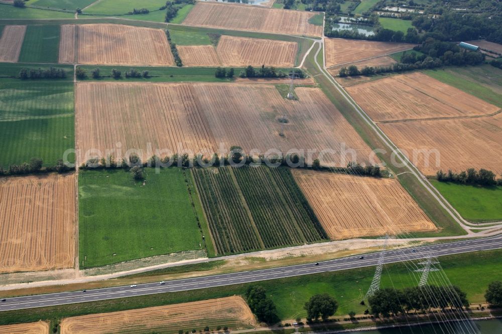 Aerial image Nackenheim - View of the landscape of Nackenheim in the state of Rhineland-Palatinate. The borough and municipiality is located in the county district of Mainz-Bingen, on the left riverbank of the Rhine. The official tourist resort is an important wine-growing village in the Rhine Hesse region and surrounded by fields and vineyards