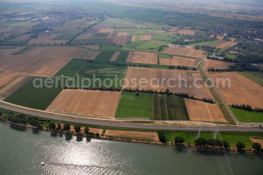 Aerial photograph Nackenheim - View of the landscape of Nackenheim in the state of Rhineland-Palatinate. The borough and municipiality is located in the county district of Mainz-Bingen, on the left riverbank of the Rhine. The official tourist resort is an important wine-growing village in the Rhine Hesse region and surrounded by fields and vineyards