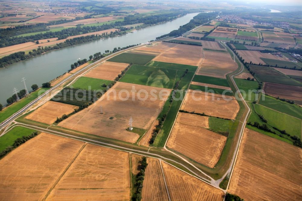 Aerial image Nackenheim - View of the landscape of Nackenheim in the state of Rhineland-Palatinate. The borough and municipiality is located in the county district of Mainz-Bingen, on the left riverbank of the Rhine. The official tourist resort is an important wine-growing village in the Rhine Hesse region and surrounded by fields and vineyards