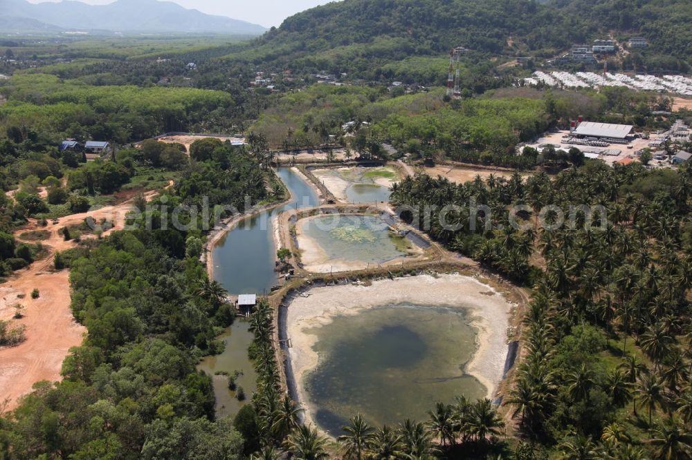 Pa Klok from above - Landscape palm trees and fish ponds in Pa Klok on the island of Phuket in Thailand