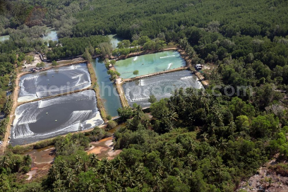 Pa Klok from above - Landscape with palm trees and fish ponds in Pa Klok on the island of Phuket in Thailand