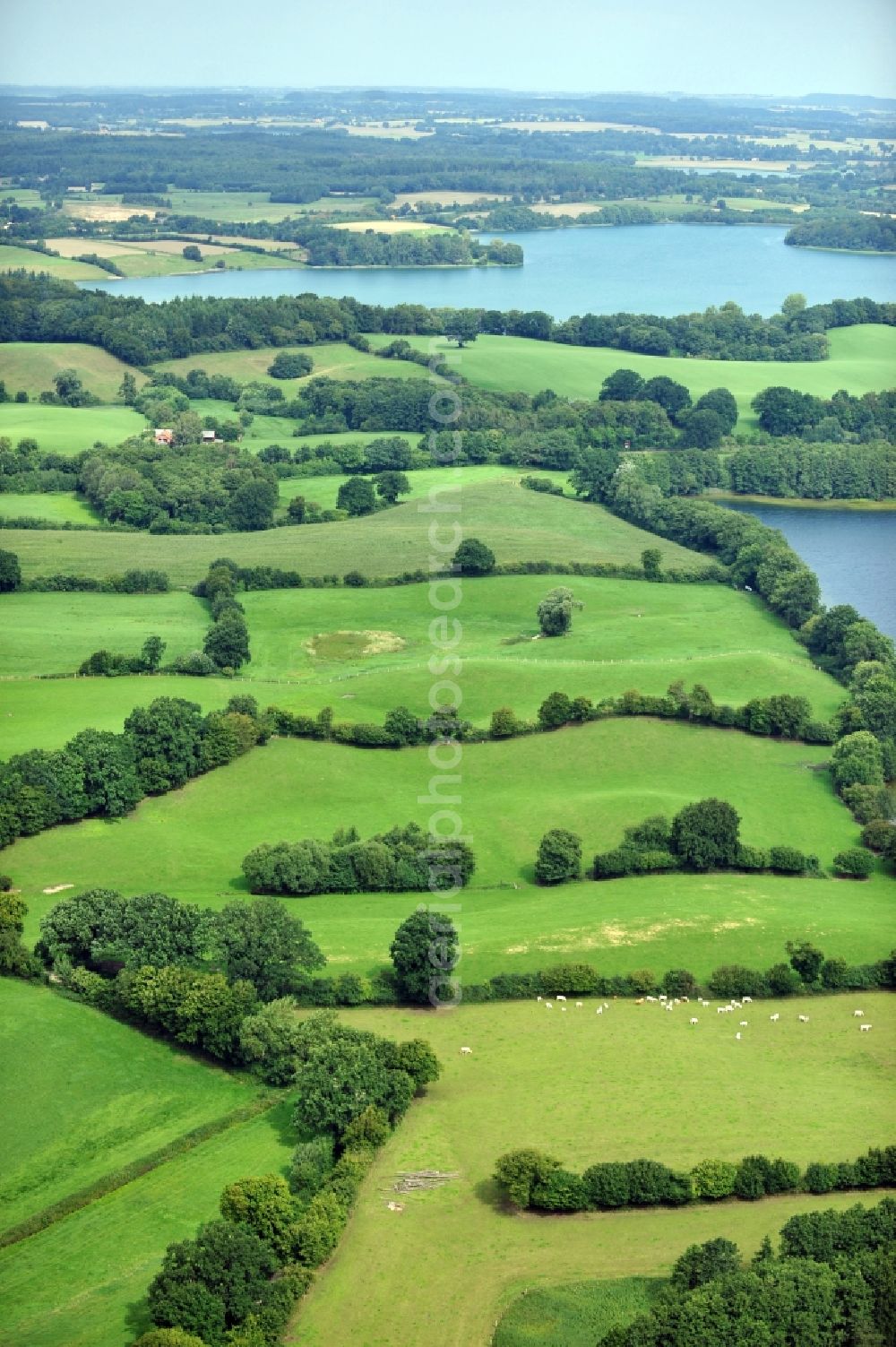 Plön from the bird's eye view: Landscape in Ploen in Schleswig-Holstein