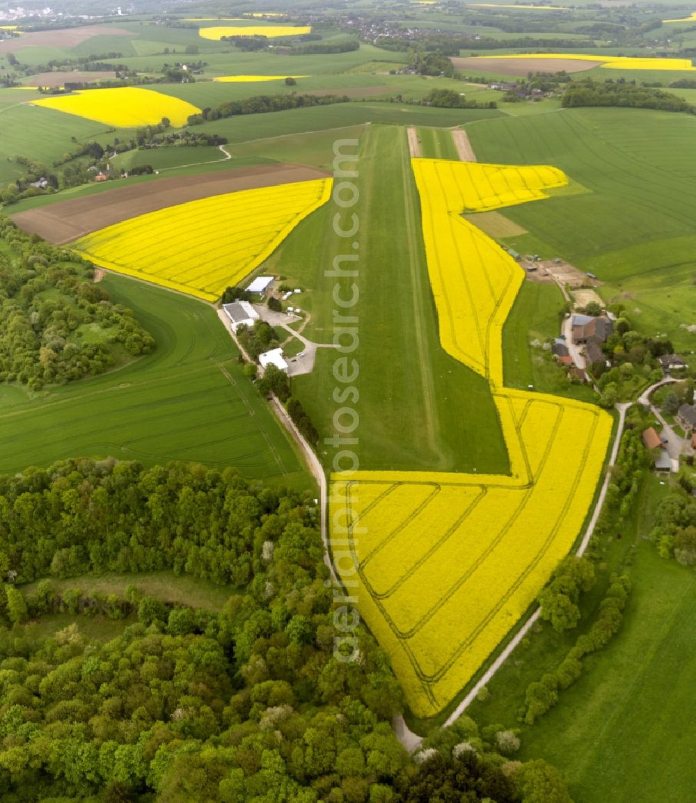 Aerial image Heiligenhaus - View of lines of Trees surrounding a landscape with canola fields used for agriculture near Heiligenhaus in North Rhine-Westphalia