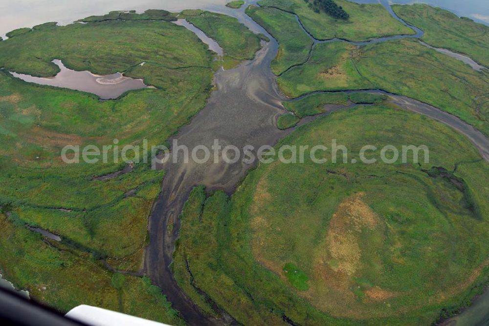 Aerial photograph Pramort - Blick auf die Landschaft vor dem Schaproder Bodden nahe Hiddensee.