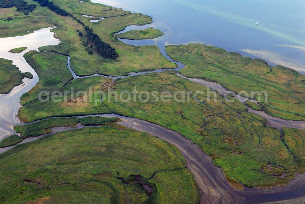 Pramort from above - Blick auf die Landschaft vor dem Schaproder Bodden nahe Hiddensee.