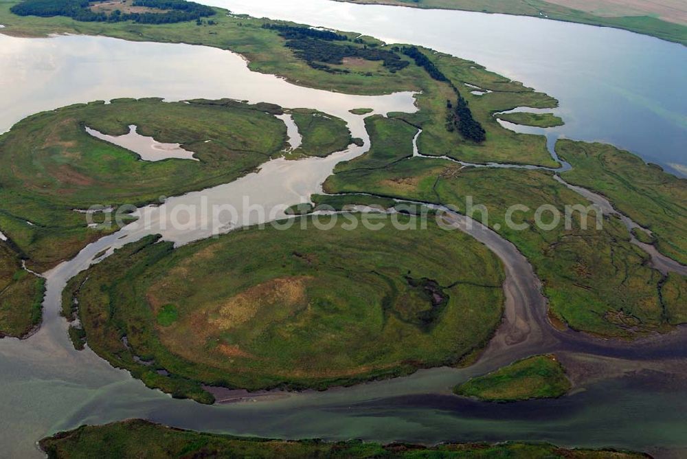 Aerial image Pramort - Blick auf die Landschaft vor dem Schaproder Bodden nahe Hiddensee.