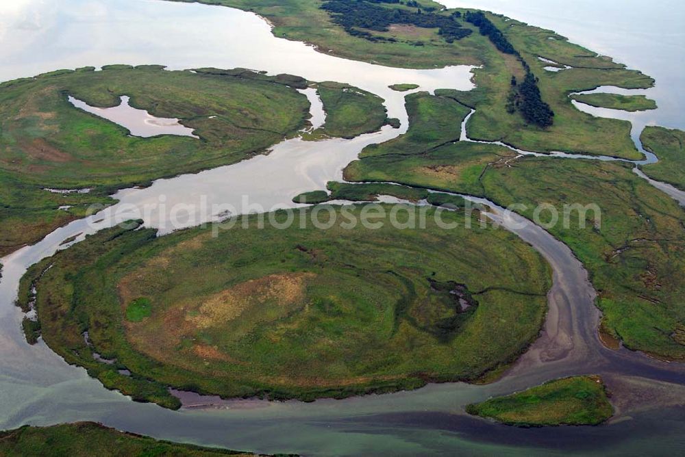 Aerial photograph Pramort - Blick auf die Landschaft vor dem Schaproder Bodden nahe Hiddensee.