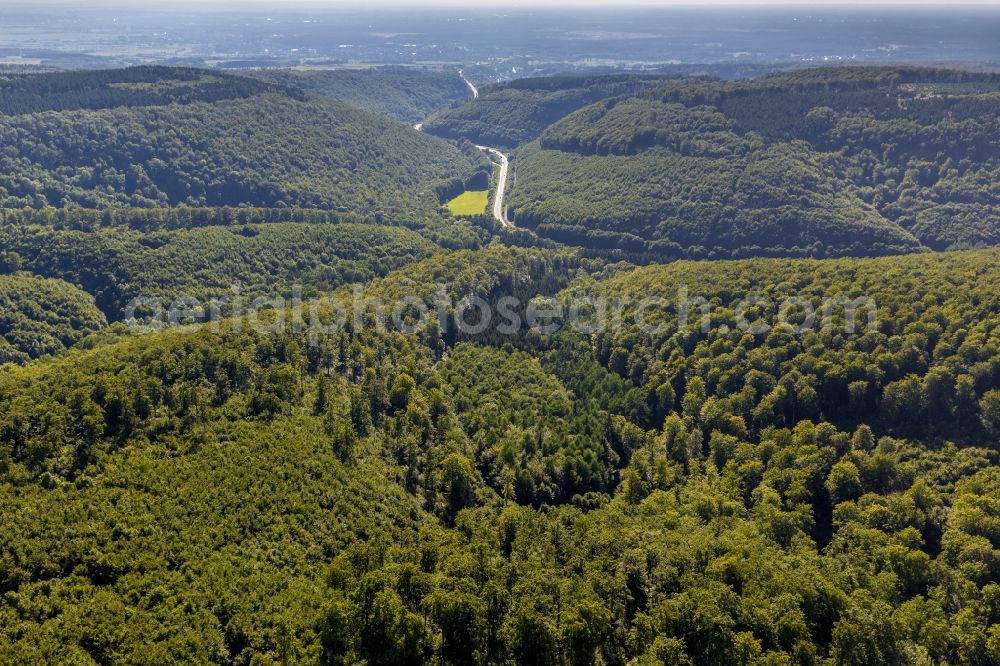 Horn-Bad Meinberg from above - The Landscape of Schlänger Bach as inflow to the lip of the Teutoburg Forest in Eggegebirge in East Westphalia in the state of North Rhine-Westphalia