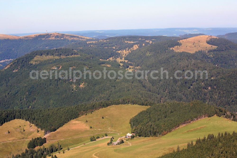 Todtnau from above - Landscape in the Black Forest in Todtnau in the Black Forest in Baden-Wuerttemberg. View over the mountain inn Gisiboden to the summit region of the mountains Herzogenhorn and Feldberg