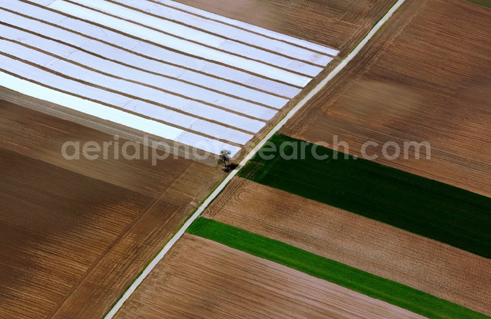 Aerial photograph Gundelsheim Landkreis Heilbronn - Landscape late autumn fields at Gundelsheim in Baden-Württemberg BW