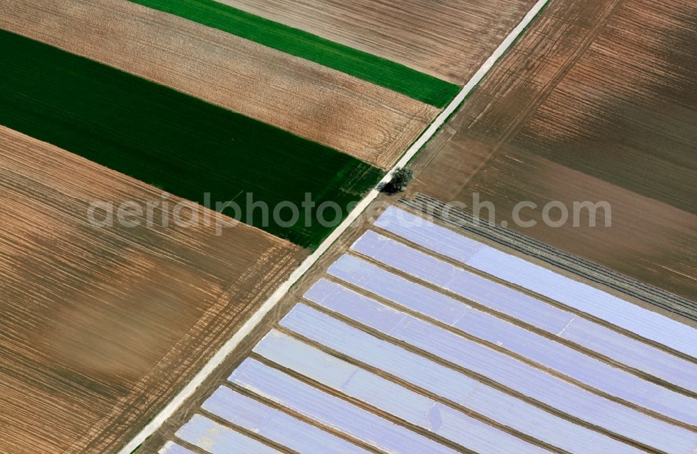 Gundelsheim Landkreis Heilbronn from above - Landscape late autumn fields at Gundelsheim in Baden-Württemberg BW