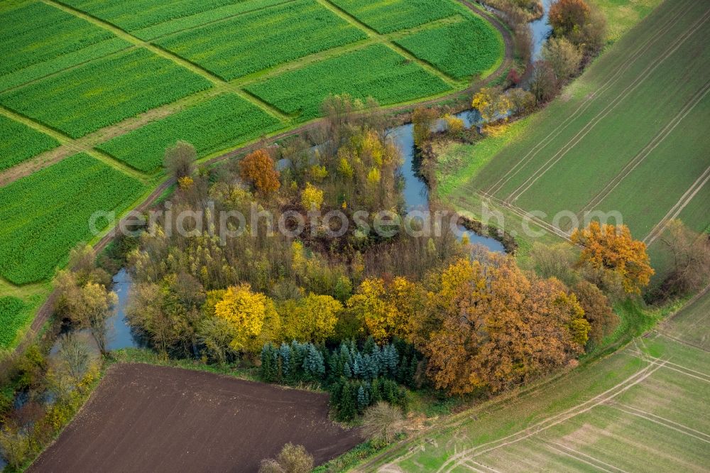 Aerial photograph Süddinker - Landscape on the banks of the river-course Ahse at Süddinker in North Rhine-Westphalia