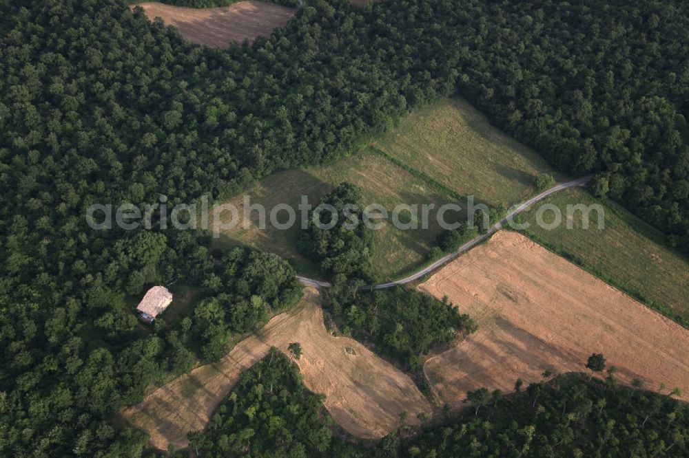 Torre Alfina from the bird's eye view: Landscape with forest land and cultivated fields near Torre Alfina in Lazio in Italy