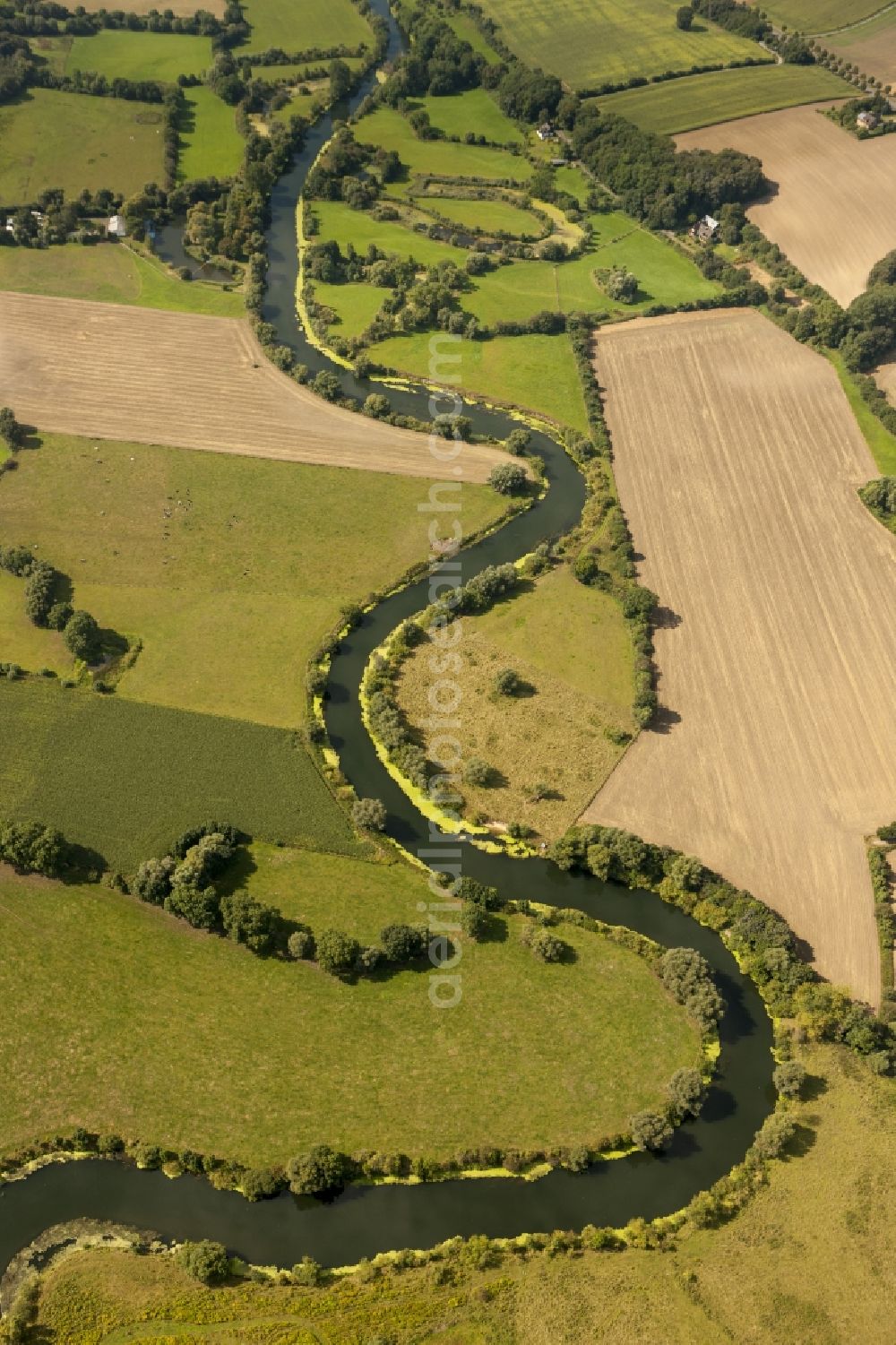 Bergkamen from the bird's eye view: Landscape of meadows and fields of Lippeauen on the lip at Bergkamen in North Rhine-Westphalia