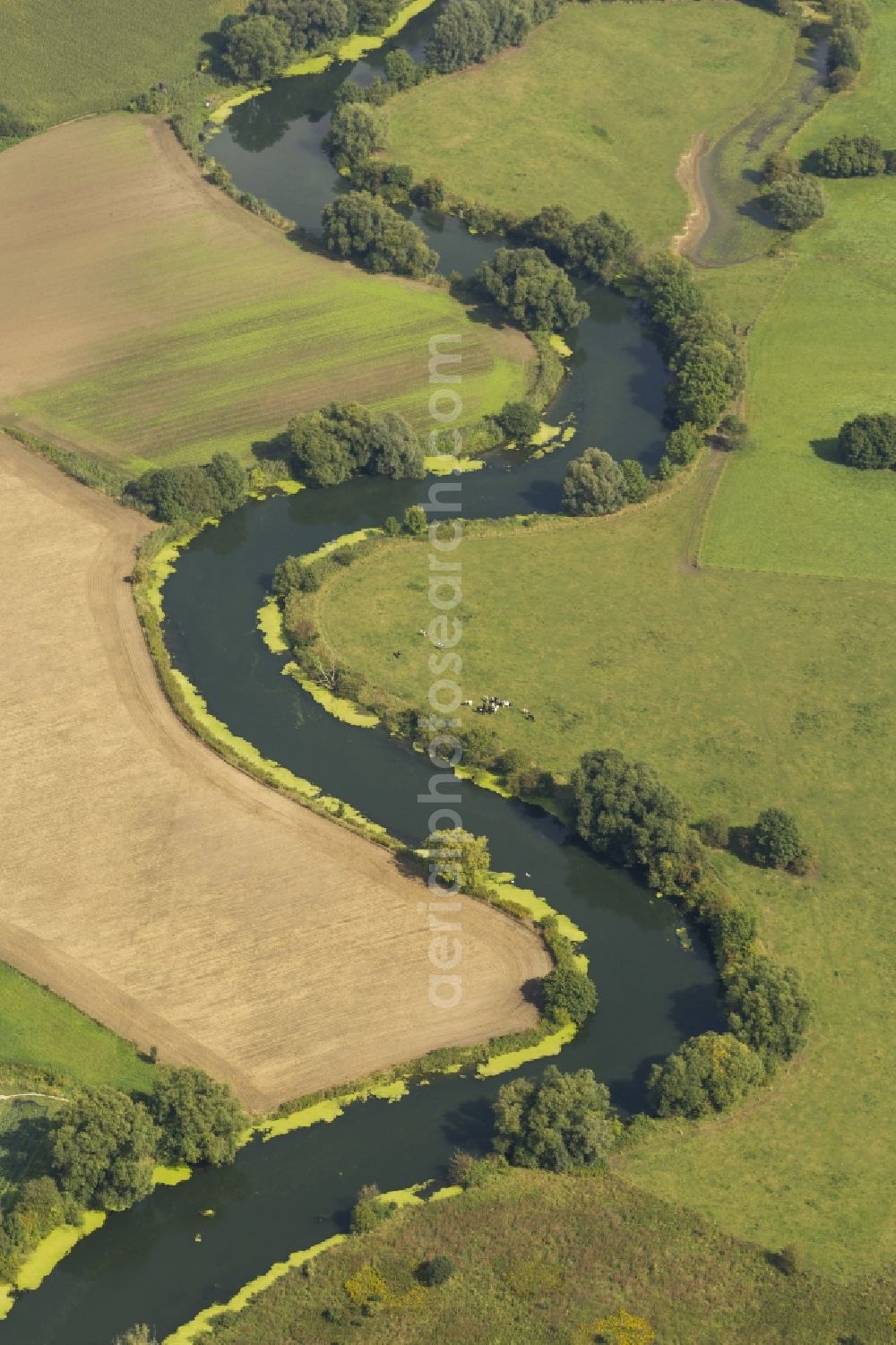 Bergkamen from above - Landscape of meadows and fields of Lippeauen on the lip at Bergkamen in North Rhine-Westphalia