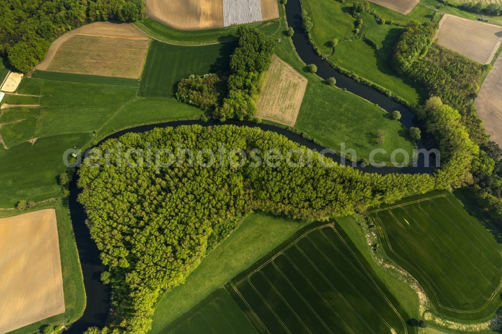 Olfen from the bird's eye view: Landscape of meadows and fields of Lippeauen on the lip at Olfen in North Rhine-Westphalia