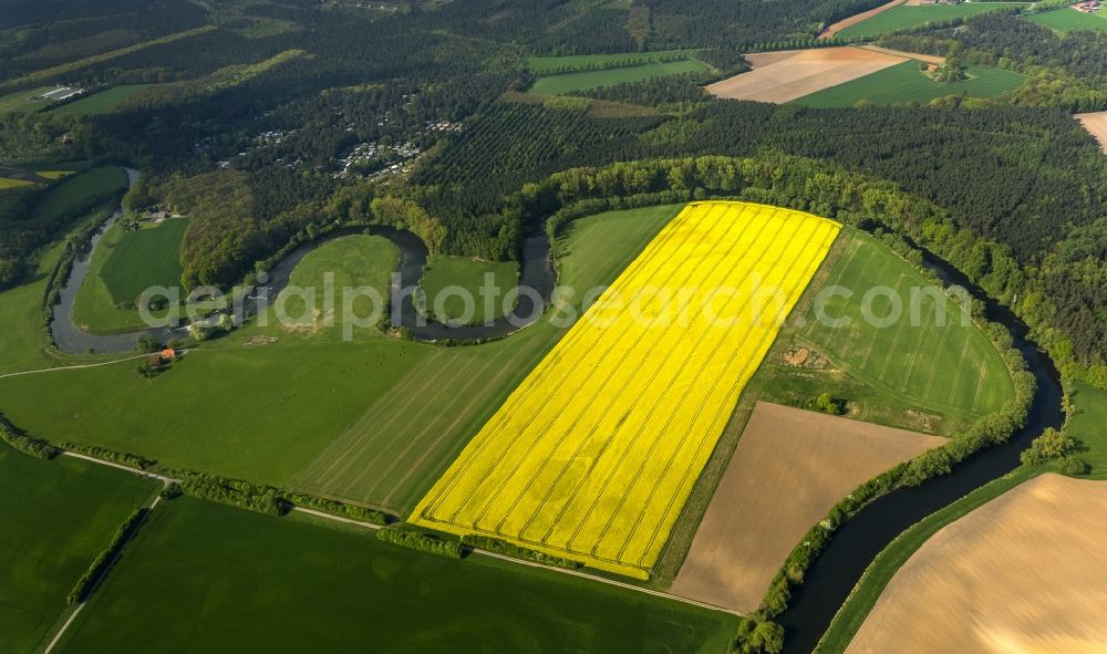 Aerial image Olfen - Landscape of meadows and fields of Lippeauen on the lip at Olfen in North Rhine-Westphalia