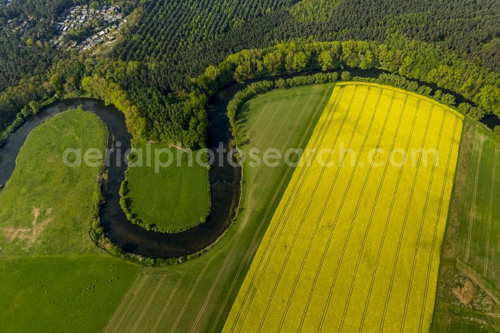 Olfen from the bird's eye view: Landscape of meadows and fields of Lippeauen on the lip at Olfen in North Rhine-Westphalia