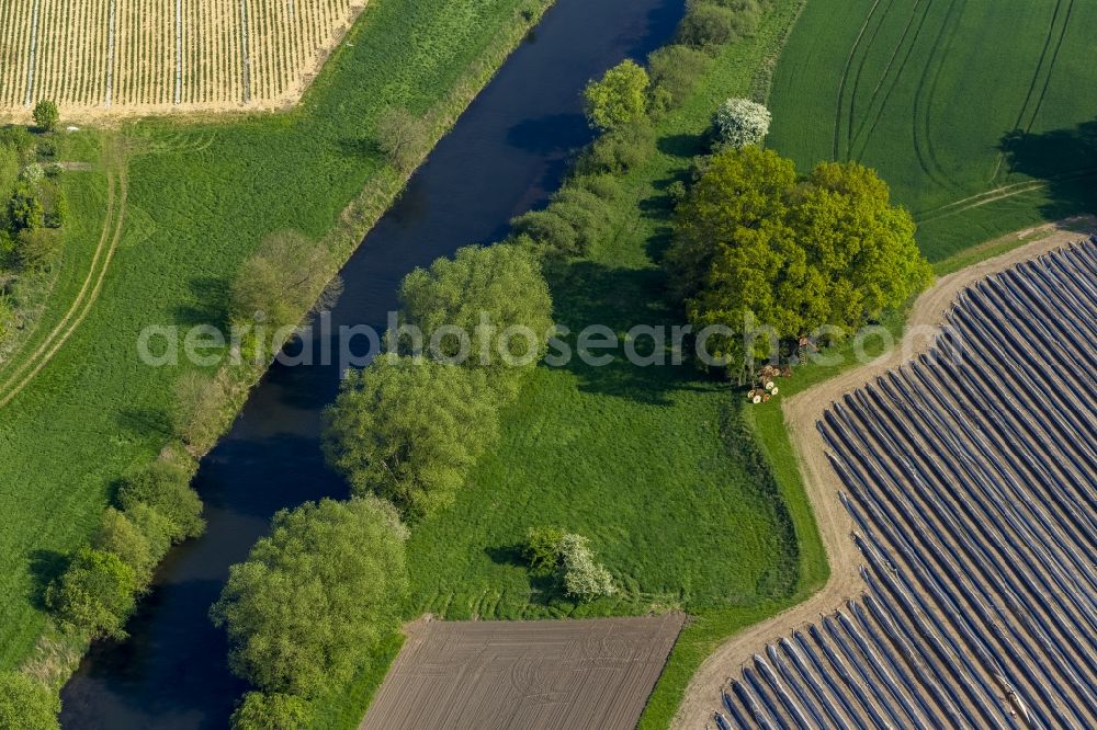 Olfen from the bird's eye view: Landscape of meadows and fields of Lippeauen on the lip at Olfen in North Rhine-Westphalia