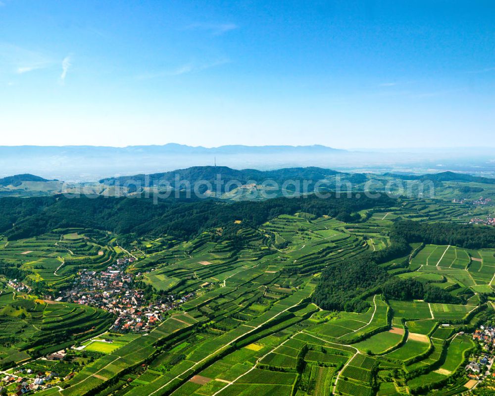 SCHELINGEN from the bird's eye view: Blick auf die Landschaften des Kaiserstuhl s, einem hohes Mittelgebirge vulkanischen Ursprungs in den Landkreisen Emmendingen und Breisgau-Hochschwarzwald im Südwesten von Baden-Württemberg. Naturräumlich wird er zum Oberrheinischen Tiefland gezählt. Seinen Namen hat der Kaiserstuhl vermutlich von König Otto III., der bei Sasbach am 22. Dezember 994 einen Gerichtstag abhielt. Nach diesem Gerichtstag wurde das ganze Gebirge als „Königsstuhl“ bezeichnet. Nachdem Otto III. im Mai 996 zum Kaiser gekrönt war, wurde aus dem „ Königsstuhl “ der „ Kaiserstuhl “. Landscapes of the Kaiserstuhl s, a high mountain range in southwestern Baden-Wuerttemberg.