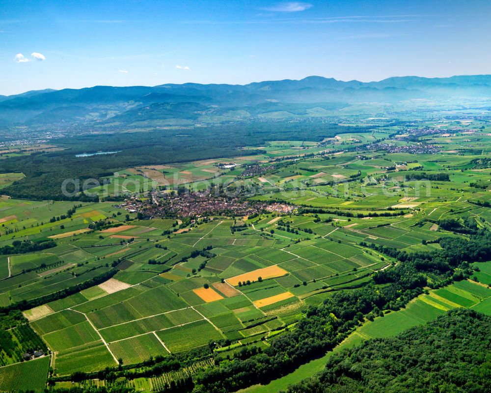 Aerial image SCHELINGEN - Blick auf die Landschaften des Kaiserstuhl s, einem hohes Mittelgebirge vulkanischen Ursprungs in den Landkreisen Emmendingen und Breisgau-Hochschwarzwald im Südwesten von Baden-Württemberg. Naturräumlich wird er zum Oberrheinischen Tiefland gezählt. Seinen Namen hat der Kaiserstuhl vermutlich von König Otto III., der bei Sasbach am 22. Dezember 994 einen Gerichtstag abhielt. Nach diesem Gerichtstag wurde das ganze Gebirge als „Königsstuhl“ bezeichnet. Nachdem Otto III. im Mai 996 zum Kaiser gekrönt war, wurde aus dem „ Königsstuhl “ der „ Kaiserstuhl “. Landscapes of the Kaiserstuhl s, a high mountain range in southwestern Baden-Wuerttemberg.