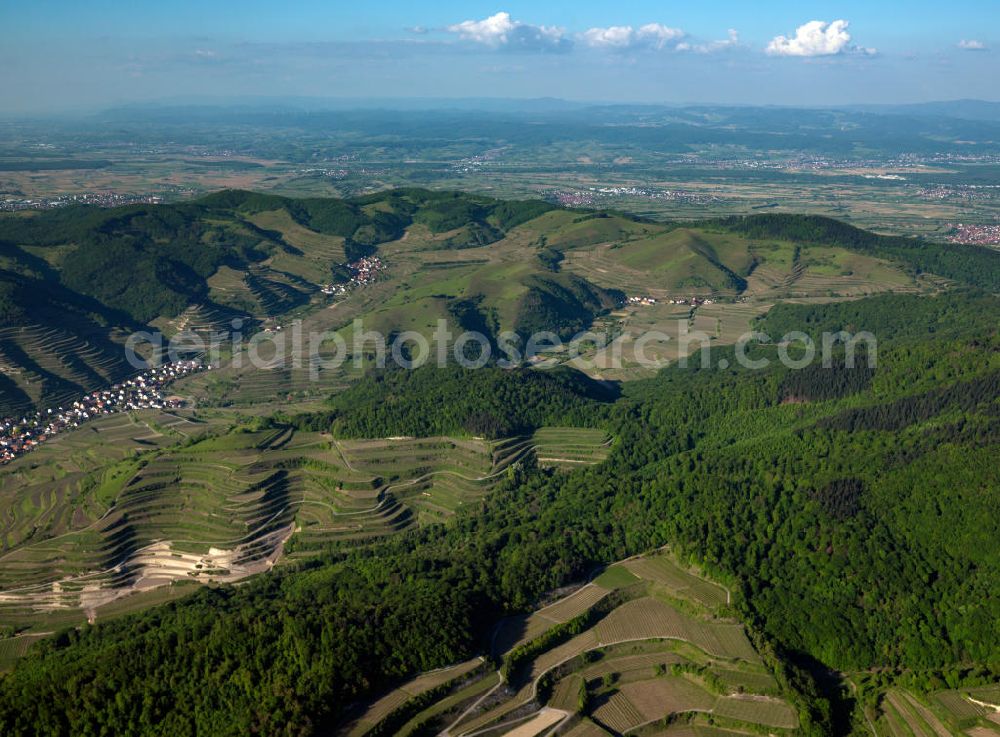 SCHELINGEN from above - Blick auf die Landschaften des Kaiserstuhl s, einem hohes Mittelgebirge vulkanischen Ursprungs in den Landkreisen Emmendingen und Breisgau-Hochschwarzwald im Südwesten von Baden-Württemberg. Naturräumlich wird er zum Oberrheinischen Tiefland gezählt. Seinen Namen hat der Kaiserstuhl vermutlich von König Otto III., der bei Sasbach am 22. Dezember 994 einen Gerichtstag abhielt. Nach diesem Gerichtstag wurde das ganze Gebirge als „Königsstuhl“ bezeichnet. Nachdem Otto III. im Mai 996 zum Kaiser gekrönt war, wurde aus dem „ Königsstuhl “ der „ Kaiserstuhl “. Landscapes of the Kaiserstuhl s, a high mountain range in southwestern Baden-Wuerttemberg.