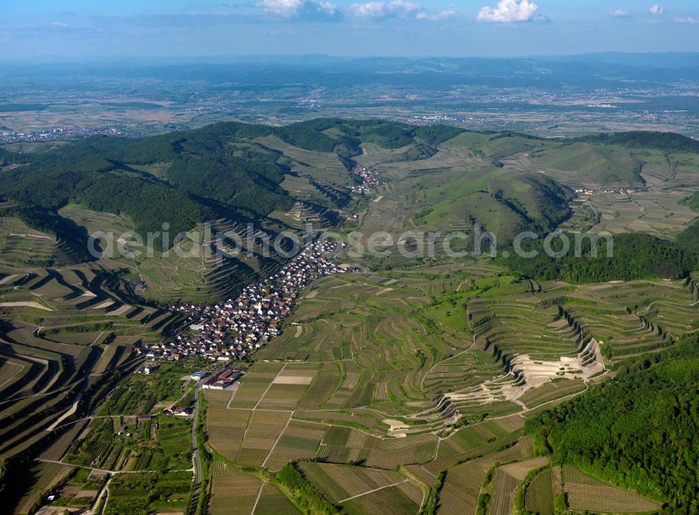 SCHELINGEN from the bird's eye view: Blick auf die Landschaften des Kaiserstuhl s, einem hohes Mittelgebirge vulkanischen Ursprungs in den Landkreisen Emmendingen und Breisgau-Hochschwarzwald im Südwesten von Baden-Württemberg. Naturräumlich wird er zum Oberrheinischen Tiefland gezählt. Seinen Namen hat der Kaiserstuhl vermutlich von König Otto III., der bei Sasbach am 22. Dezember 994 einen Gerichtstag abhielt. Nach diesem Gerichtstag wurde das ganze Gebirge als „Königsstuhl“ bezeichnet. Nachdem Otto III. im Mai 996 zum Kaiser gekrönt war, wurde aus dem „ Königsstuhl “ der „ Kaiserstuhl “. Landscapes of the Kaiserstuhl s, a high mountain range in southwestern Baden-Wuerttemberg.