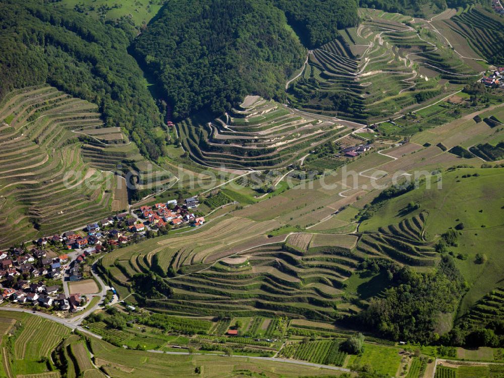 SCHELINGEN from above - Blick auf die Landschaften des Kaiserstuhl s, einem hohes Mittelgebirge vulkanischen Ursprungs in den Landkreisen Emmendingen und Breisgau-Hochschwarzwald im Südwesten von Baden-Württemberg. Naturräumlich wird er zum Oberrheinischen Tiefland gezählt. Seinen Namen hat der Kaiserstuhl vermutlich von König Otto III., der bei Sasbach am 22. Dezember 994 einen Gerichtstag abhielt. Nach diesem Gerichtstag wurde das ganze Gebirge als „Königsstuhl“ bezeichnet. Nachdem Otto III. im Mai 996 zum Kaiser gekrönt war, wurde aus dem „ Königsstuhl “ der „ Kaiserstuhl “. Landscapes of the Kaiserstuhl s, a high mountain range in southwestern Baden-Wuerttemberg.