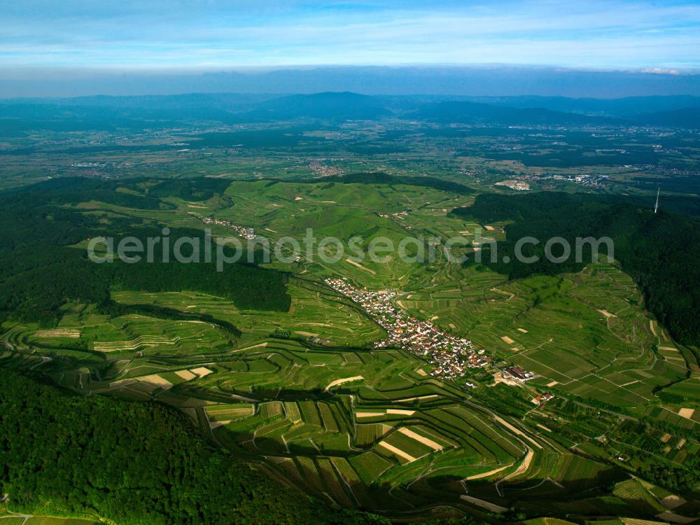 SCHELINGEN from the bird's eye view: Blick auf die Landschaften des Kaiserstuhl s, einem hohes Mittelgebirge vulkanischen Ursprungs in den Landkreisen Emmendingen und Breisgau-Hochschwarzwald im Südwesten von Baden-Württemberg. Naturräumlich wird er zum Oberrheinischen Tiefland gezählt. Seinen Namen hat der Kaiserstuhl vermutlich von König Otto III., der bei Sasbach am 22. Dezember 994 einen Gerichtstag abhielt. Nach diesem Gerichtstag wurde das ganze Gebirge als „Königsstuhl“ bezeichnet. Nachdem Otto III. im Mai 996 zum Kaiser gekrönt war, wurde aus dem „ Königsstuhl “ der „ Kaiserstuhl “. Landscapes of the Kaiserstuhl s, a high mountain range in southwestern Baden-Wuerttemberg.