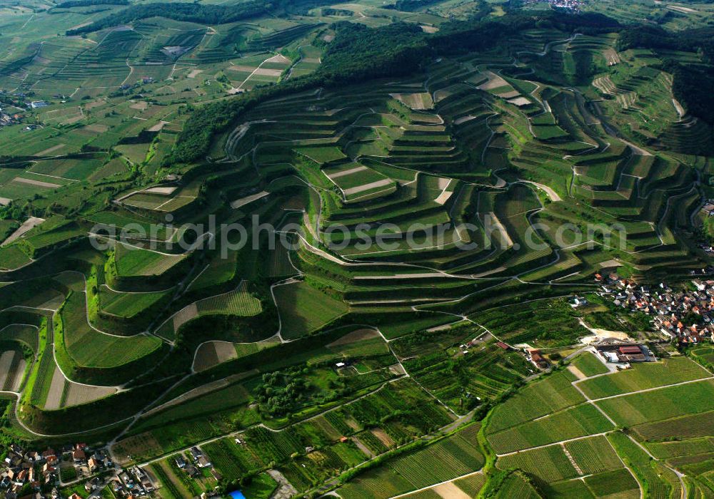 Aerial image SCHELINGEN - Blick auf die Landschaften des Kaiserstuhl s, einem hohes Mittelgebirge vulkanischen Ursprungs in den Landkreisen Emmendingen und Breisgau-Hochschwarzwald im Südwesten von Baden-Württemberg. Naturräumlich wird er zum Oberrheinischen Tiefland gezählt. Seinen Namen hat der Kaiserstuhl vermutlich von König Otto III., der bei Sasbach am 22. Dezember 994 einen Gerichtstag abhielt. Nach diesem Gerichtstag wurde das ganze Gebirge als „Königsstuhl“ bezeichnet. Nachdem Otto III. im Mai 996 zum Kaiser gekrönt war, wurde aus dem „ Königsstuhl “ der „ Kaiserstuhl “. Landscapes of the Kaiserstuhl s, a high mountain range in southwestern Baden-Wuerttemberg.