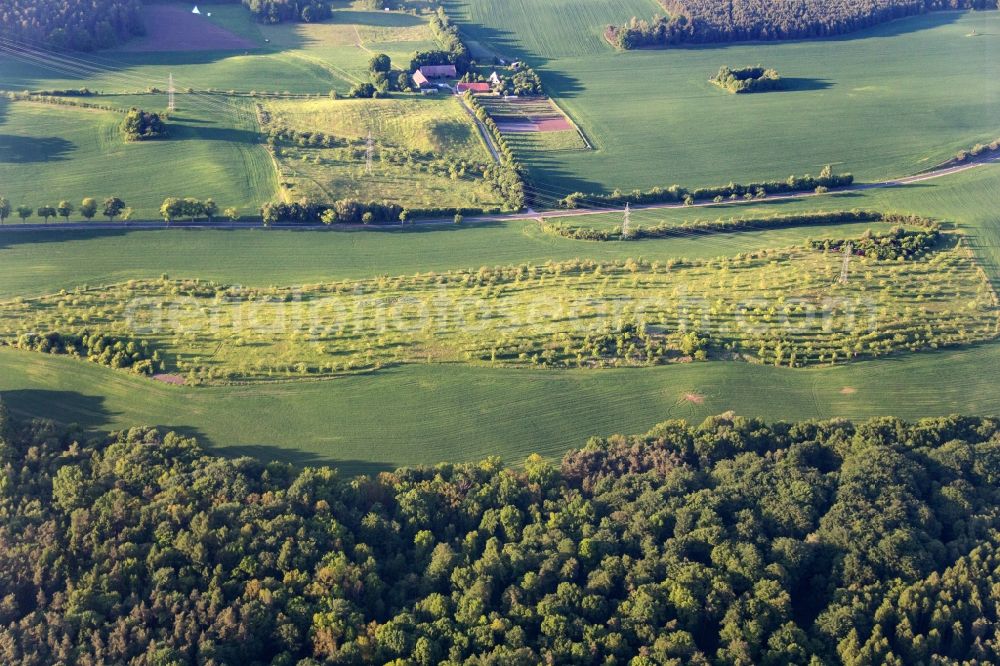 Aerial photograph Coswig - Mood at a location in the valley tree orchard in Coswig in Saxony-Anhalt