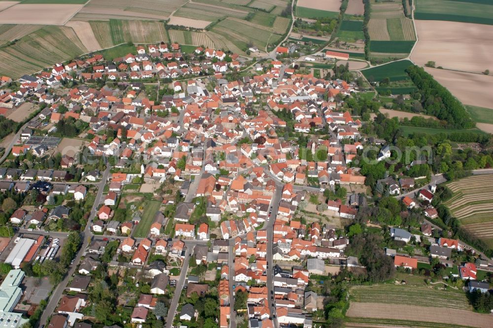 Aerial image Schornsheim - Municipality with center and residental areas along the Friedrich-Ebert-Strasse in Schornsheim in Rhineland-Palatinate