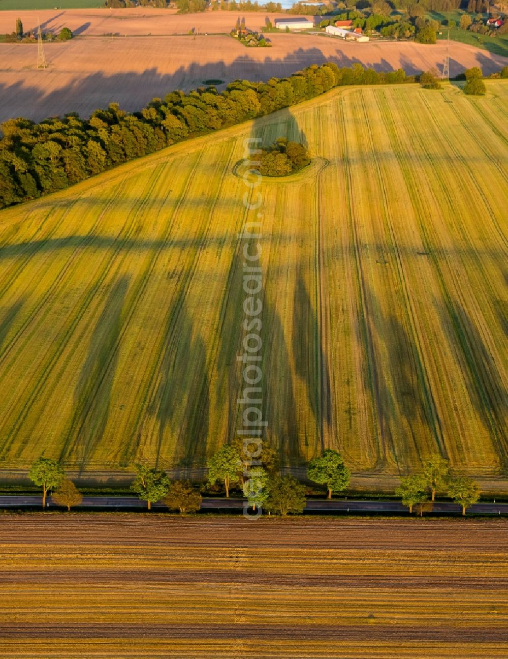 Altenhof from above - View of the road L 206 in Altenhof in the state Mecklenburg-West Pomerania